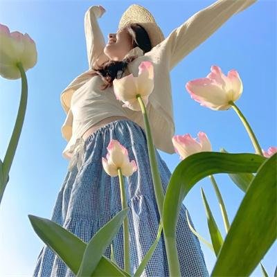 龙牌之谜
